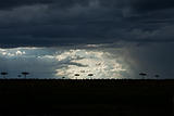Dramatic sky over Masai Mara