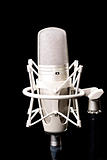 Professional studio microphone