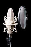 Professional studio microphone