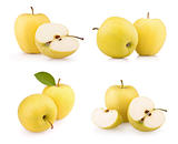 Set yellow apple fruits isolated on white