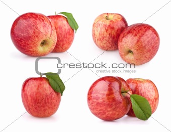 Set red apple fruits isolated on white