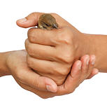 Sparrow in woman hand