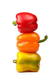 colorful peppers in column