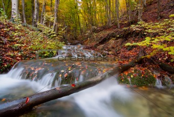 landscape with mountain river in autumn forest