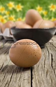 Fresh farm eggs ready to be cooked