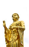 golden buddha statue isolated 