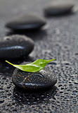 Massage stones with leaf