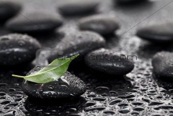Massage stones with leaf