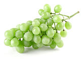 branch of ripe green grapes