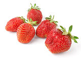 freshly strawberries