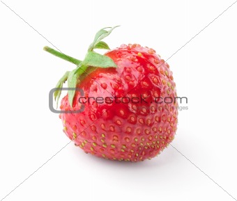 single ripe strawberry