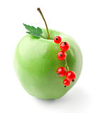 Green apple and red currant branch