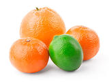 Orange, tangerine and lime