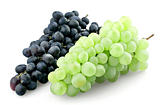 Bunches of black and green grapes