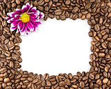 Frame made of coffee and chrysanthemums