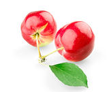 Two sweet apples with leaf