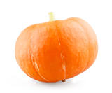 Single mini pumpkin