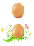 hen's eggs on a white background