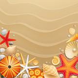 Shells and starfishes on sand background