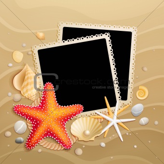 Pictures, shells and starfishes on sand background