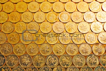 gold coins , Hong Kong currency $0.5 coins