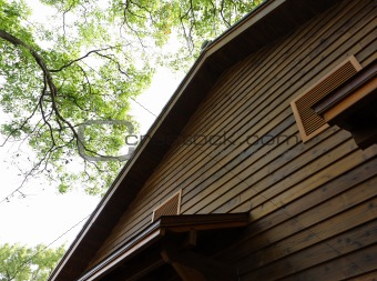 wooden hut in forest