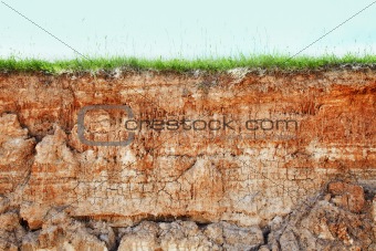 Cliff - clay soil and grass