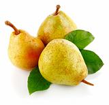 fresh pear fruits with green leaves