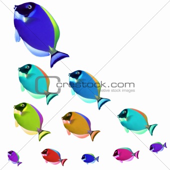 School of Exotic Fishes