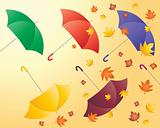 autumn umbrellas