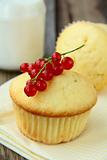 Fresh homemade cupcake decorated with red currants