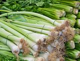 A bunches of fresh healhy leek and celery