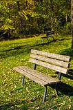 Empty park bench