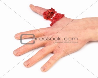 artificial human hand with cut out finger