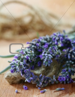 Lavender bouquet with seeds.