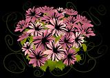 Abstract pink asters with dark background