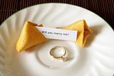 Fortune Cookie Proposal