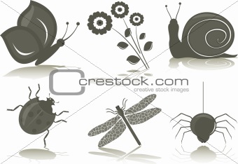 Isolated icons of insects, vector illustration