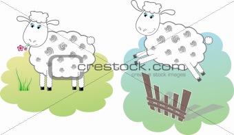 Two white sheeps, vector illustration