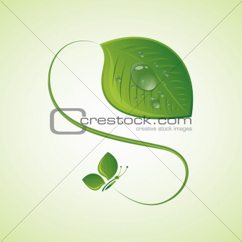 Green leaf with drops, vector illustration