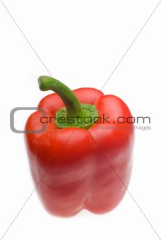 fresh red bell pepper