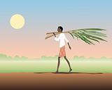 carrying sugar cane