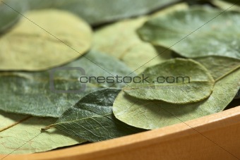 Coca Leaves in Wooden Bowl