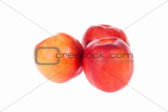 nectarine. fruit