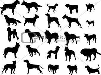 dogs silhouette