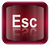 Esc icon dark red, isolated on white background