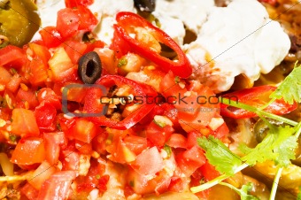 fresh nachos and vegetable salad with meat