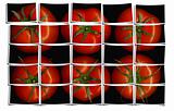 tomato puzzle collage 