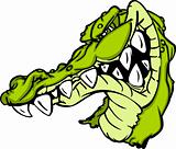Gator or Alligator Mascot Cartoon