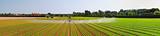 Irrigation field panorama